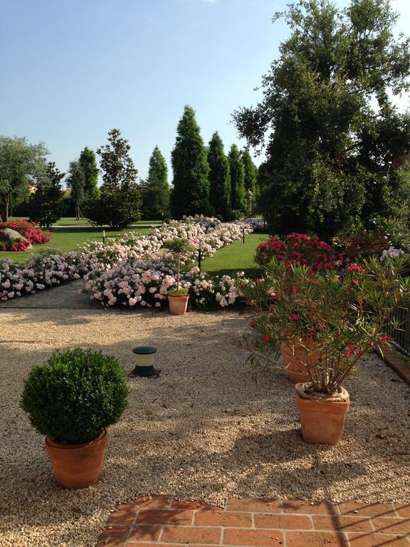La Vedetta Bed And Breakfast Castelvetro di Modena Eksteriør bilde