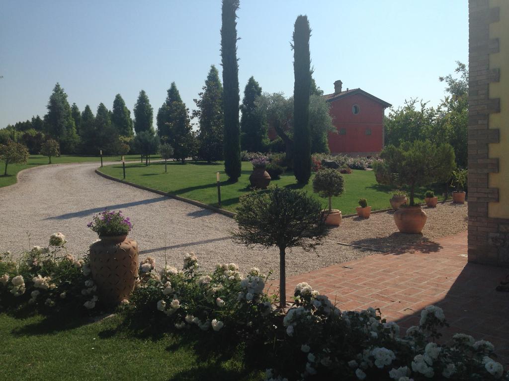 La Vedetta Bed And Breakfast Castelvetro di Modena Eksteriør bilde