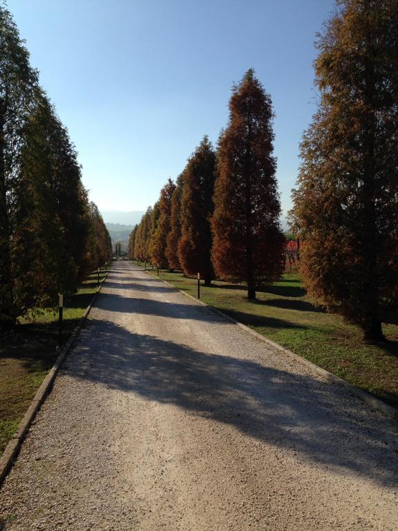 La Vedetta Bed And Breakfast Castelvetro di Modena Eksteriør bilde