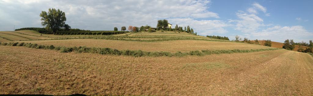 La Vedetta Bed And Breakfast Castelvetro di Modena Eksteriør bilde